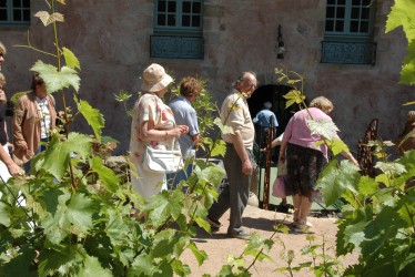 Seniors en promenade